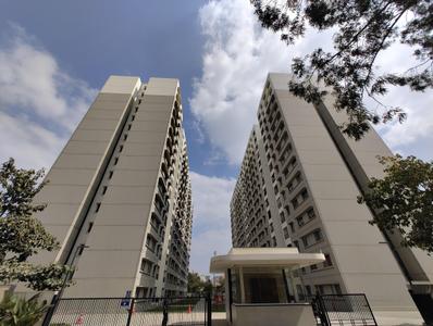 Project Image of 0.0 - 702.78 Sq.ft 2 BHK Apartment for buy in Sobha Dream Acres Tropical Greens Phase 25 Wing 32 33 and 34