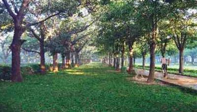 Project Image of 450 Sq.ft 1 BHK Apartment / Flat for sale in Kankavli for Rs. 2700000