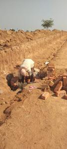 Project Image of 1323.0 - 4050.0 Sq.ft Residential Plot Plot for buy in Sez County