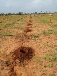 Project Image of 2178.0 - 4356.0 Sq.ft Residential Plot Plot for buy in RR Mega Siri Vanam