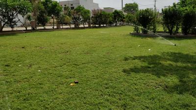 Project Image of 357.0 - 1549.0 Sq.ft Residential Plot Plot for buy in Kalpdham Desai Residency