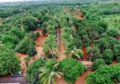 Project Image of 2700.0 - 10890.0 Sq.ft Residential Plot Plot for buy in Samruddhi Kalpavruksha
