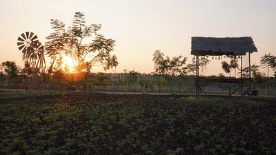 Project Image of 5445.0 - 27000.0 Sq.ft Residential Plot Plot for buy in Nivriti Farms