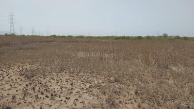 Project Image of 1000.0 - 10000.0 Sq.ft Residential Plot Plot for buy in Royals Land Plots In Belondekhar