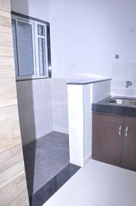 Project Image of 382.0 - 770.0 Sq.ft 1 BHK Apartment for buy in Apex Ambar