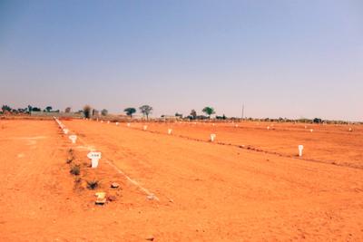 Project Image of 1200.0 - 3000.0 Sq.ft Residential Plot Plot for buy in Blue Smilee Views
