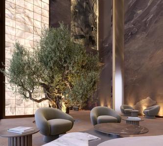 Project Image of 367.0 - 2029.0 Sq.ft Studio Studio Apartment for buy in Tiger Ananda Residences