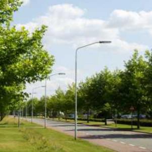 Project Image of 1350.0 - 9000.0 Sq.ft Residential Plot Plot for buy in SBD Royal Vihar