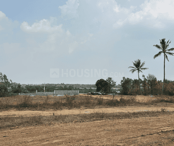 Project Image of 1071.49 - 2747.37 Sq.ft Residential Plot Plot for buy in Iustus Sacred Grove By The Lake