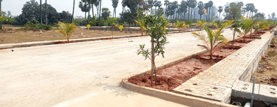Project Image of 1101.69 - 1931.91 Sq.ft Residential Plot Plot for buy in Chaturbhuja Trimbak Oaks Phase 5