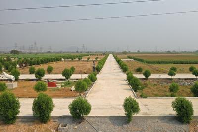 Project Image of 1645.05 - 7144.76 Sq.ft Residential Plot Plot for buy in Evergreens Kohinoor