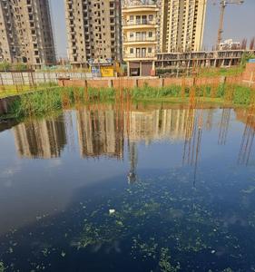 Project Image of 423.0 - 871.0 Sq.ft 1 BHK Apartment for buy in Kautilya Kuteer B Block