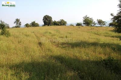 Project Image of 3500.0 - 11000.0 Sq.ft Residential Plot Plot for buy in FDCC Bolzano Bozen Agriculture Plots