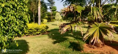 Project Image of 955.0 - 2400.0 Sq.ft Residential Plot Plot for buy in Bhumi Venus Gate Way Phase 2
