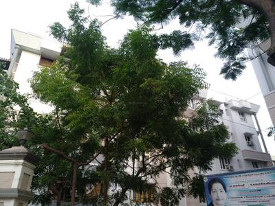 Nu Tech Indra Elevation 1