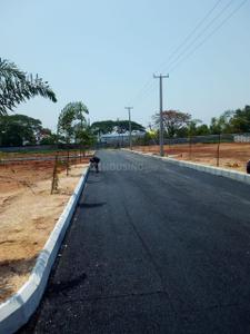 Project Image of 1350.0 - 3456.0 Sq.ft Residential Plot Plot for buy in Asset Pri Ravis Dharitri