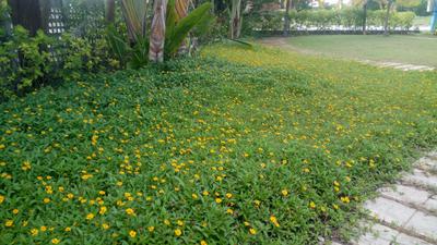 Project Image of 1295 Sq.ft 2 BHK Apartment / Flat for sale in Devinagar for Rs. 21100000