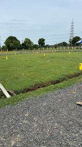 Project Image of 640.0 - 2280.0 Sq.ft Residential Plot Plot for buy in Dhilli KCR Nagar