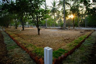 Project Image of 1593.06 - 4389.0 Sq.ft Residential Plot Plot for buy in DRA Ranka Palm Lakeside