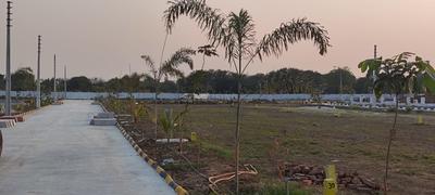 Project Image of 1125.0 - 2250.0 Sq.ft Residential Plot Plot for buy in Sunrise Nature Golden Highway