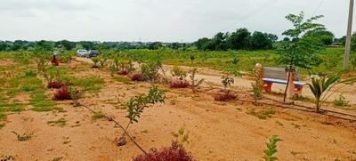 Project Image of 1080.0 - 2178.0 Sq.ft Residential Plot Plot for buy in PR Sandal Park