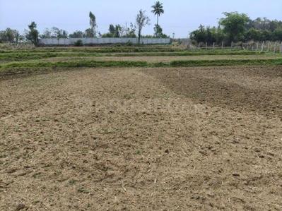 Project Image of 1000.0 - 3000.0 Sq.ft Residential Plot Plot for buy in Bhoomi Plots In Karchunde