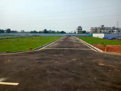 Project Image of 750.0 - 1600.0 Sq.ft Residential Plot Plot for buy in Daisy Park
