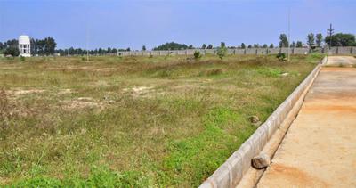 Project Image of 0.0 - 1200.0 Sq.ft Residential Plot Plot for buy in Peninsula Pine woods