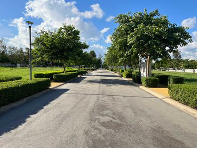 Project Image of 1200.0 - 2400.0 Sq.ft Residential Plot Plot for buy in Dukes Legend Sujay