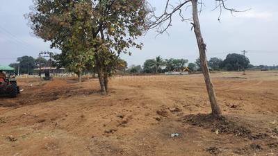 Project Image of 1503.0 - 3528.0 Sq.ft Residential Plot Plot for buy in Gold Golden Oaks