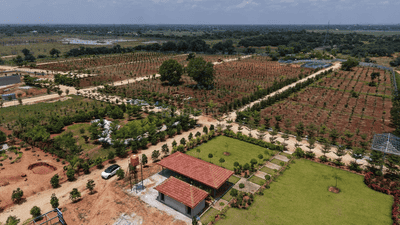 Project Image of 0.0 - 6000.0 Sq.ft Residential Plot Plot for buy in Neralu Farms Korlaparthi