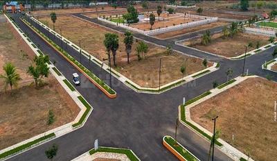 Gallery Cover Pic of Prestige Marigold