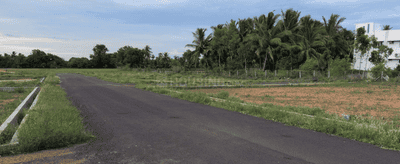Project Images
