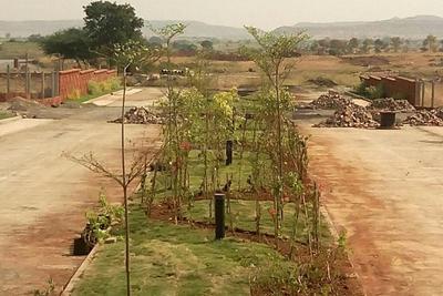 Project Image of 3500.0 - 10000.0 Sq.ft Residential Plot Plot for buy in Clover Windermere