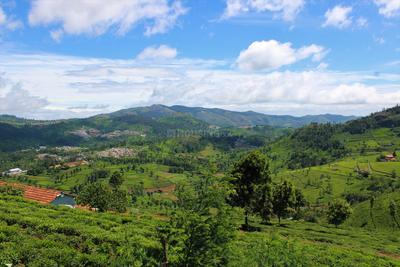 Project Image of 1000.0 - 15260.0 Sq.ft Residential Plot Plot for buy in Lushbergs