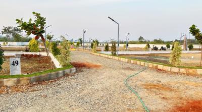 Project Image of 700.0 - 1354.0 Sq.ft Residential Plot Plot for buy in NRI Netra Orchard Phase 1