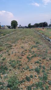 Project Image of 1000.0 - 1200.0 Sq.ft Residential Plot Plot for buy in Indus Enclave