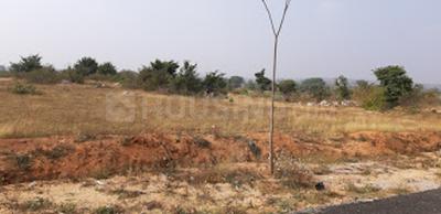 Project Image of 3251.0 - 7793.0 Sq.ft Residential Plot Plot for buy in Aliens 195 2017 HRO H1