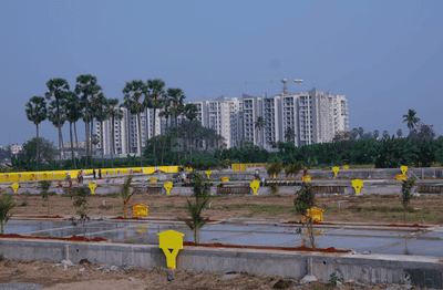 Project Image of 1101.69 - 1931.91 Sq.ft Residential Plot Plot for buy in Chaturbhuja Trimbak Oaks Phase 5