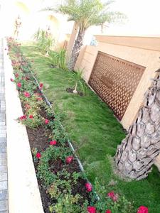 Project Image of 1500 Sq.ft Residential Plot / Land for sale in Budhaniya for Rs. 7800000
