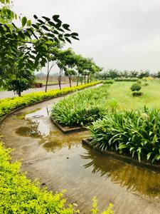 Project Image of 800.0 - 1500.0 Sq.ft Residential Plot Plot for buy in Wallfort Wood Phase I