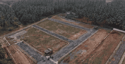 Project Images