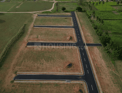 Project Images