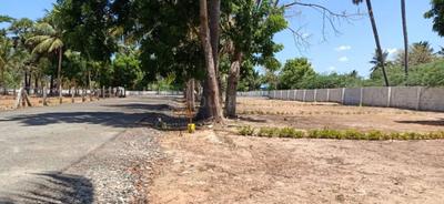 Project Image of 1284.0 - 1526.0 Sq.ft Residential Plot Plot for buy in M T Rajens Manjusha Enclave