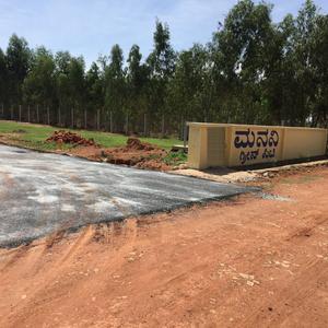 Project Image of 1200.0 - 4000.0 Sq.ft Residential Plot Plot for buy in Manani Paradise