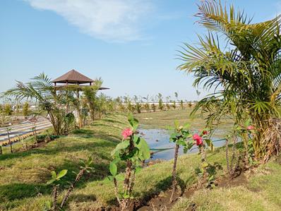 Project Image of 5500.0 - 32500.0 Sq.ft Residential Plot Plot for buy in Gurukul Anandam Hills View