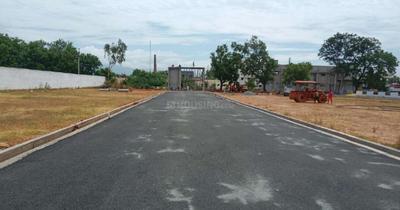 Project Images