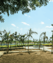 Project Image of 1350.0 - 7127.0 Sq.ft Residential Plot Plot for buy in Vertex Capital Vista Phase IV