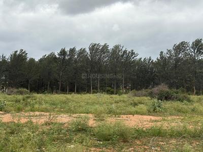 Project Image of 993.72 - 2517.46 Sq.ft Residential Plot Plot for buy in Keisha Tapasya