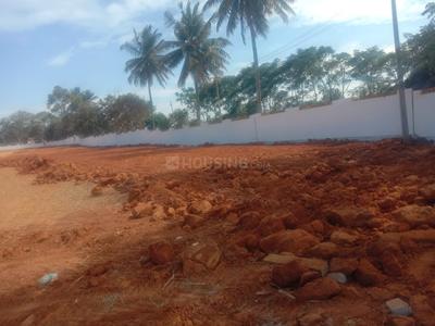 Project Image of 771.21 - 2500.68 Sq.ft Residential Plot Plot for buy in PSN Misty Woods
